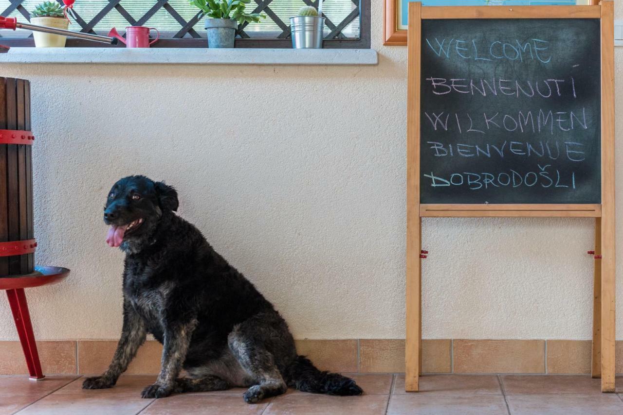 B&B Carmela Umag Ngoại thất bức ảnh