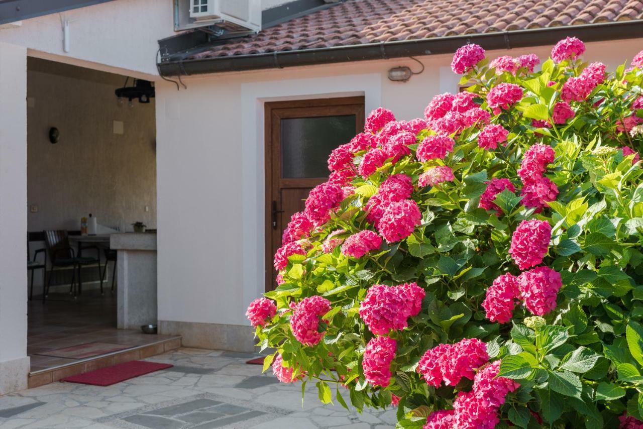 B&B Carmela Umag Ngoại thất bức ảnh