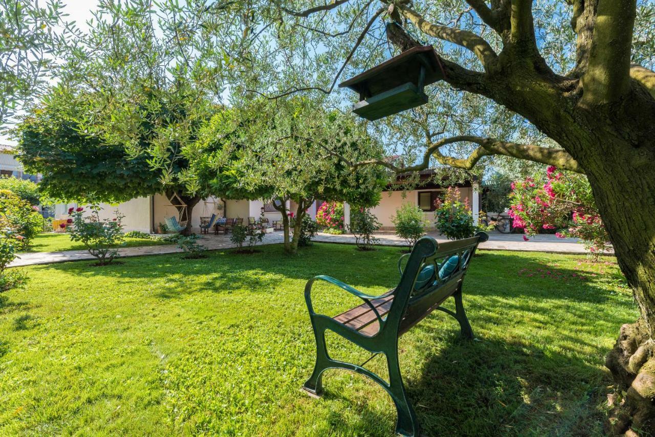 B&B Carmela Umag Ngoại thất bức ảnh